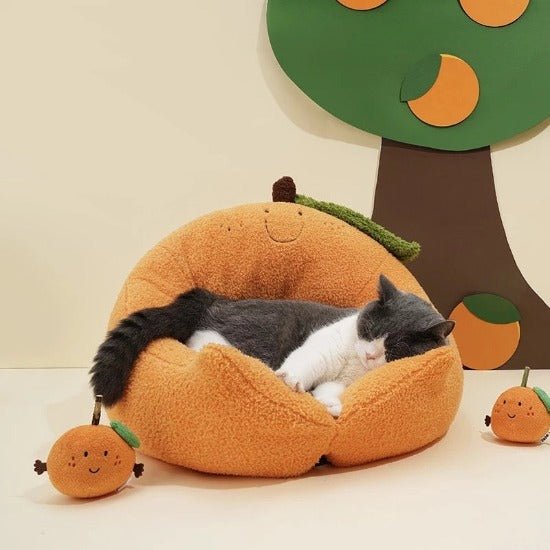 Happy Orange Bed - Always Whiskered