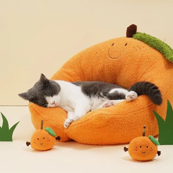 Happy Orange Bed - Always Whiskered