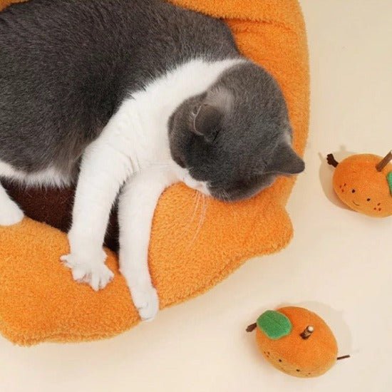 Happy Orange Bed - Always Whiskered