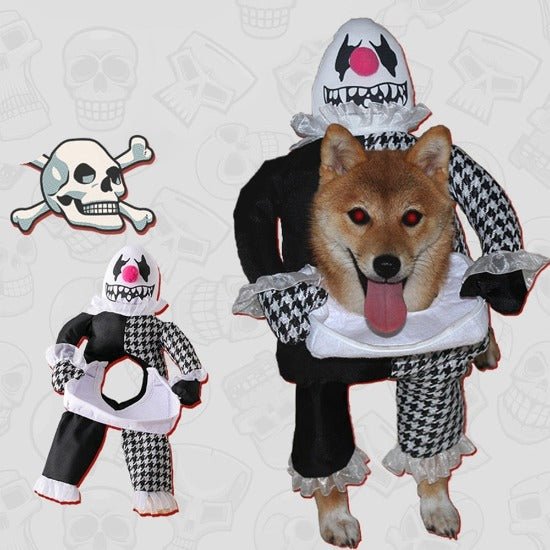Head-on-Plate Halloween Costume - Always Whiskered