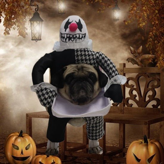 Head-on-Plate Halloween Costume - Always Whiskered