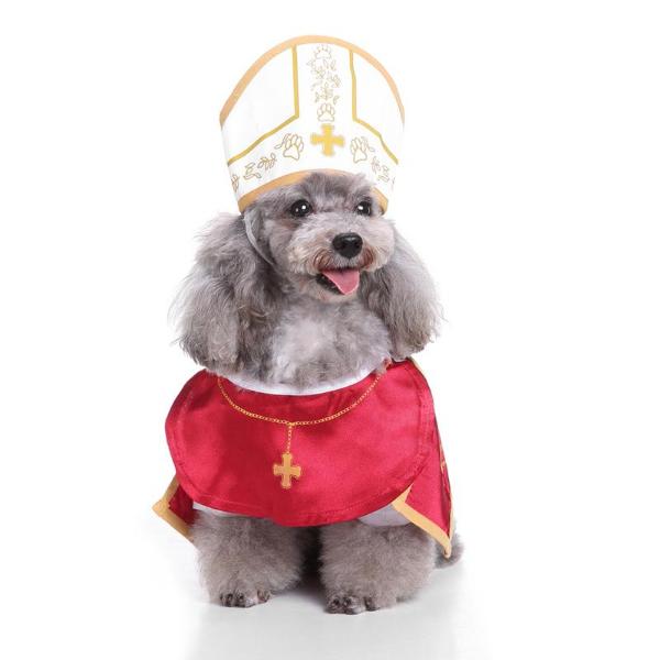 Holy Pope Costume - Always Whiskered