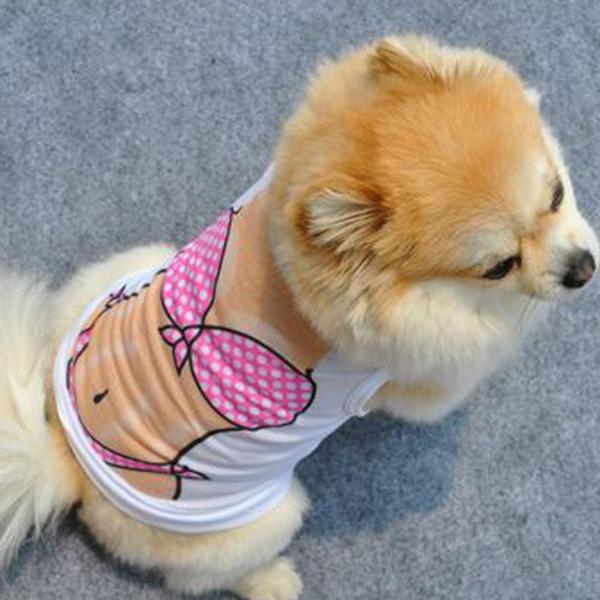 Hot Bod Pet Vest - Always Whiskered