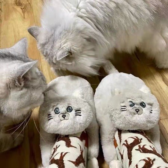Hugger Cat Slippers - Always Whiskered