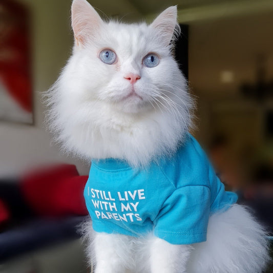 I Still Live With My Parents Tee - Always Whiskered