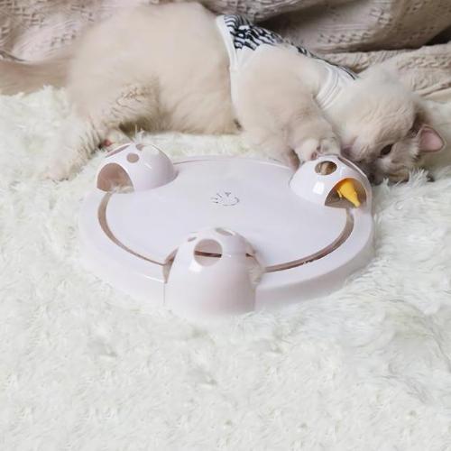 Interactive Mouse Hunt - Always Whiskered