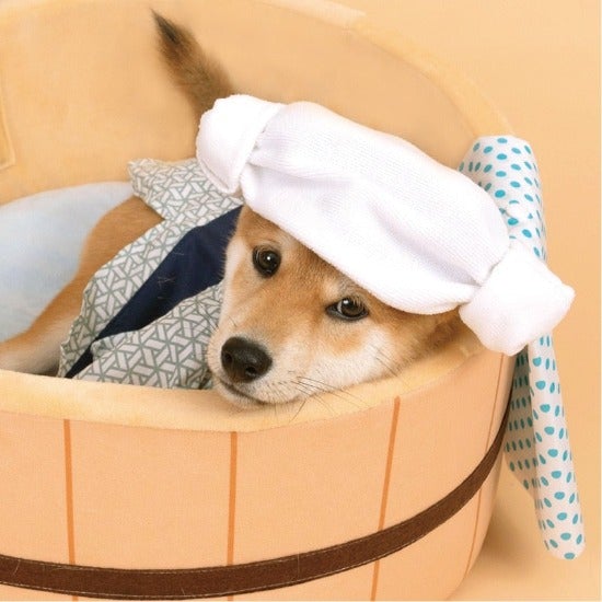 Japanese Onsen Tub Pet Bed - Always Whiskered