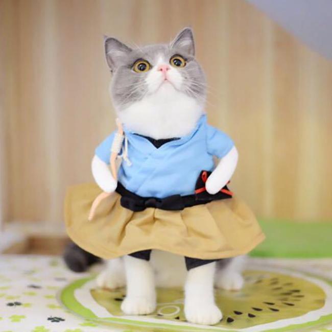 Japanese Urashima Taro Costume - Always Whiskered
