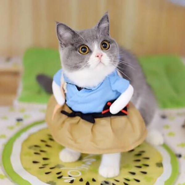 Japanese Urashima Taro Costume - Always Whiskered