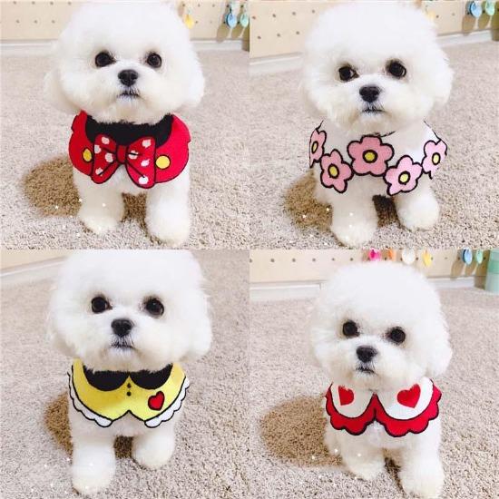 Kawaii Pet Bibs - Always Whiskered
