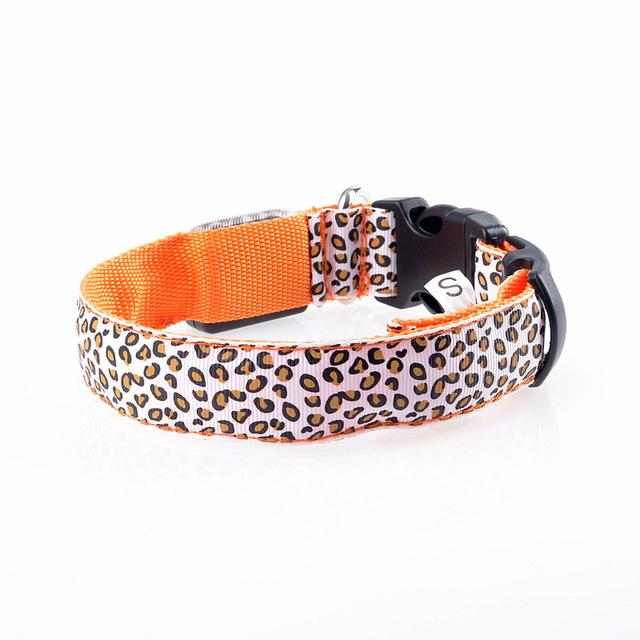 Leopard Light Up Collar - Always Whiskered 