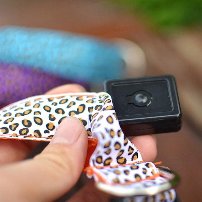 Leopard Light Up Collar - Always Whiskered 