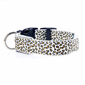 Leopard Light Up Collar - Always Whiskered 