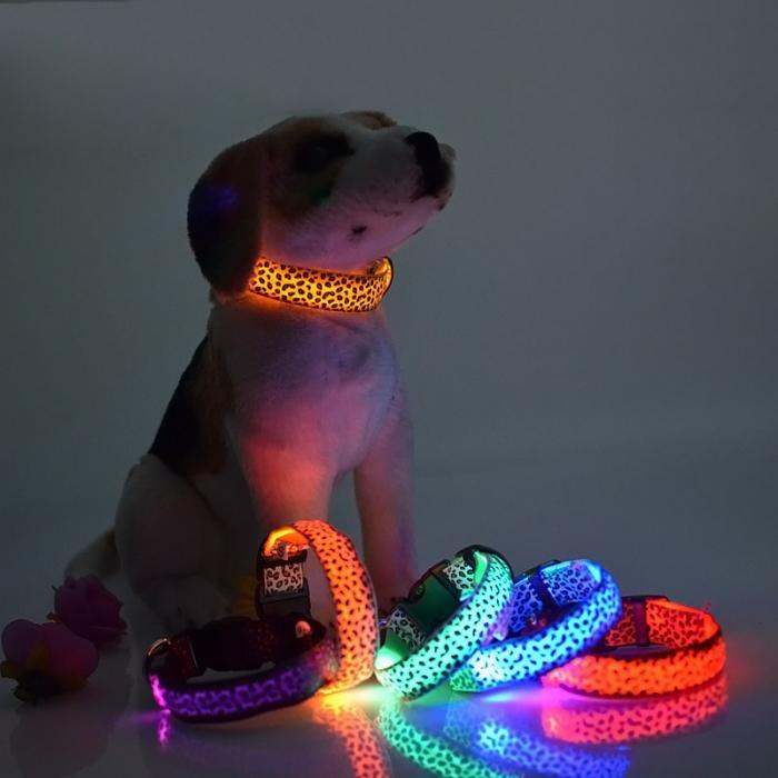 Leopard Light Up Collar - Always Whiskered 
