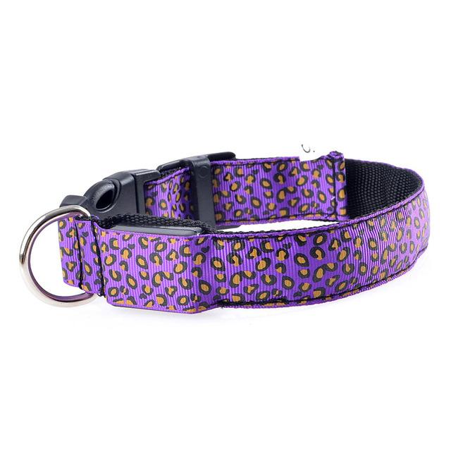 Leopard Light Up Collar - Always Whiskered 