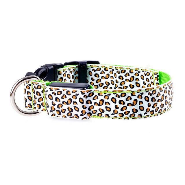 Leopard Light Up Collar - Always Whiskered 