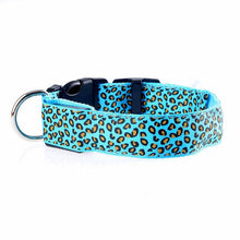 Leopard Light Up Collar - Always Whiskered 