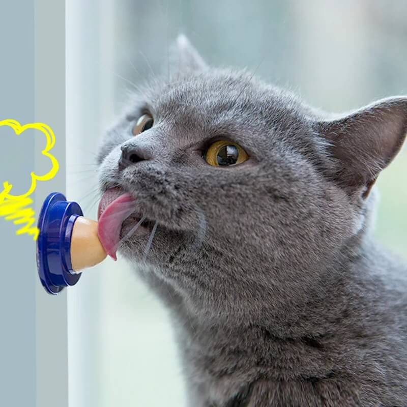 Lick-A-Wall Cat Treats - Always Whiskered