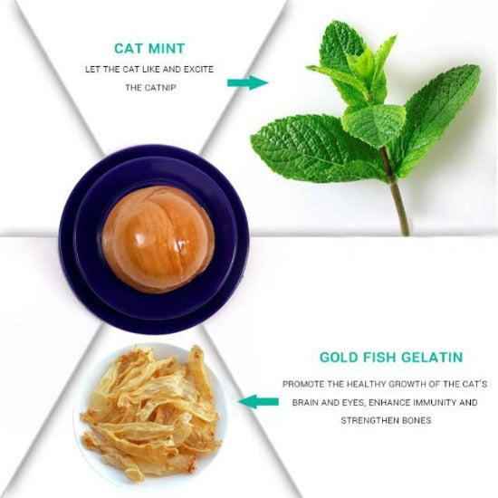 Lick-A-Wall Cat Treats - Always Whiskered