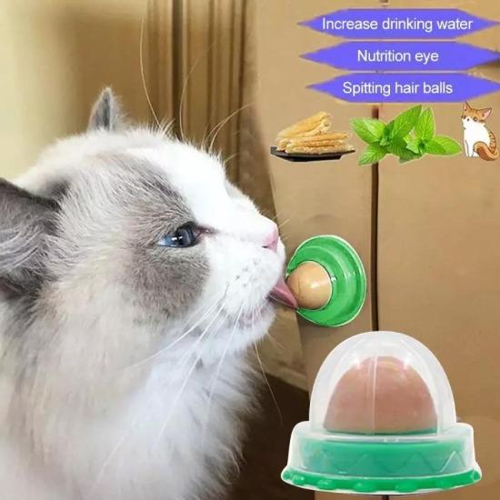 Cat Lick treats - Always Whiskered