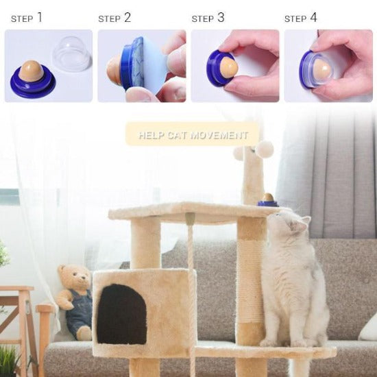 Lick-A-Wall Cat Treats - Always Whiskered