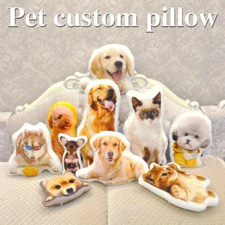 Custom Pet pillow - Always Whiskered