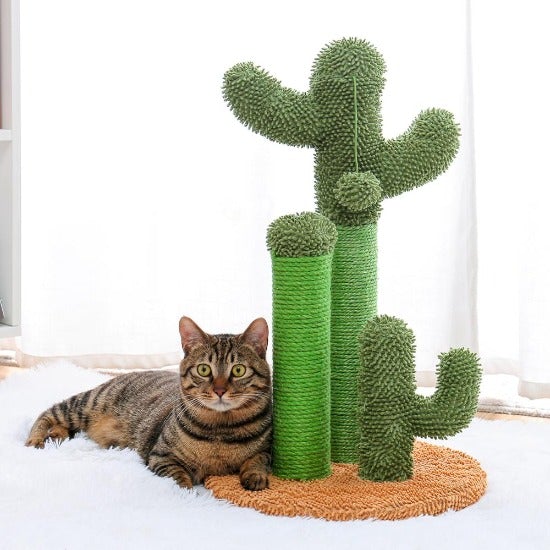 Looking Sharp Cactus Scratch Post - Always Whiskered
