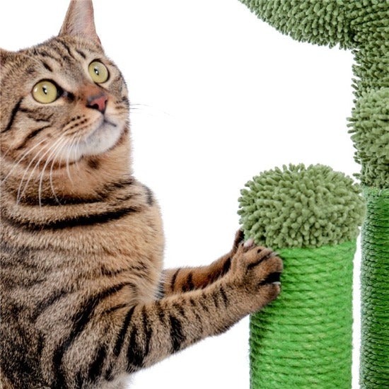 Looking Sharp Cactus Scratch Post - Always Whiskered