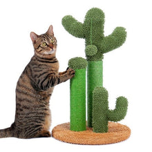 Looking Sharp Cactus Scratch Post - Always Whiskered