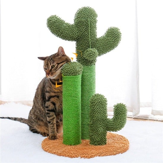 Looking Sharp Cactus Scratch Post - Always Whiskered
