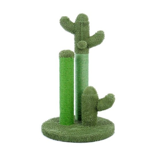 Looking Sharp Cactus Scratch Post - Always Whiskered