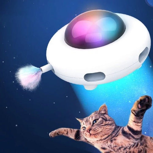 Magic Saucer Cat Toy - Always Whiskered