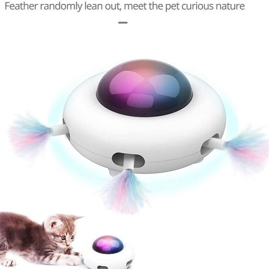 Magic Saucer Cat Toy - Always Whiskered