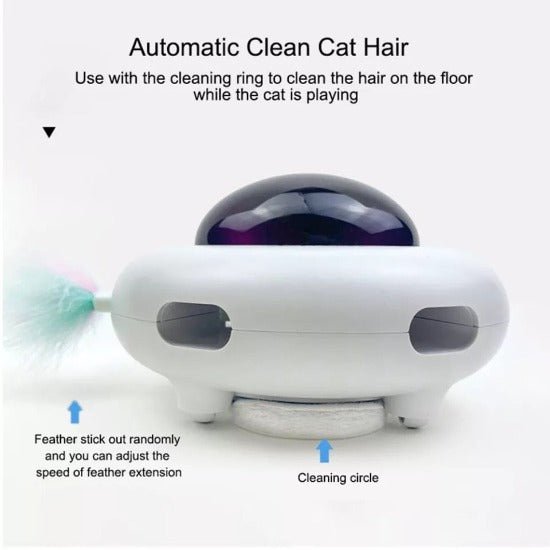 Magic Saucer Cat Toy - Always Whiskered