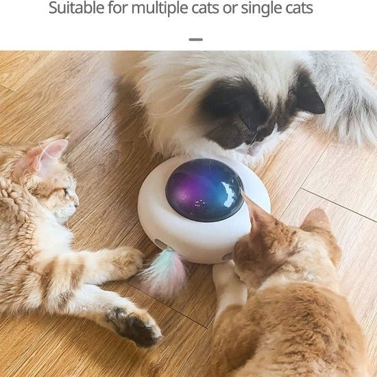 Magic Saucer Cat Toy - Always Whiskered