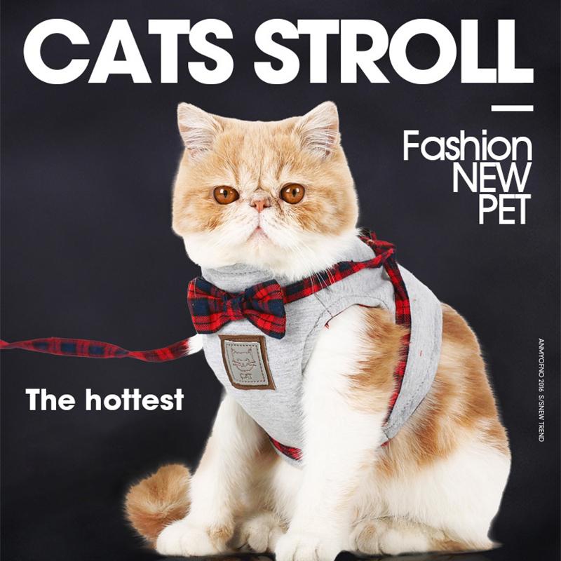 Meowsome Harness with leash and bowtie - Always Whiskered 