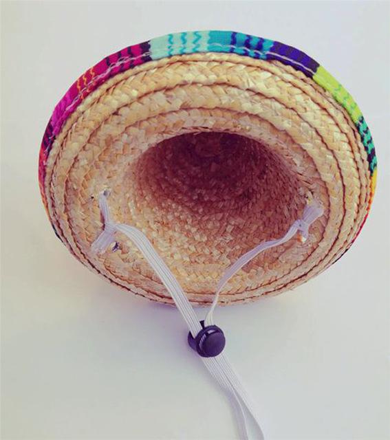 Pet Mexican Sombrero Hat - Always Whiskered