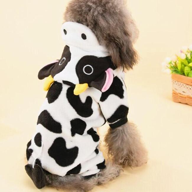 Pet Cow Costume - Always Whiskered 