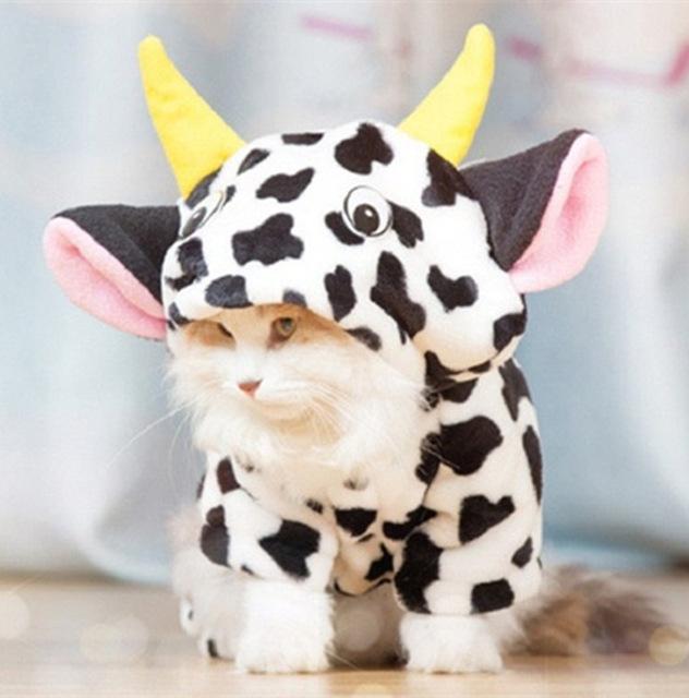Pet Cow Costume - Always Whiskered 