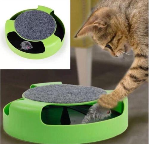 Mouse Hunt Toy - Always Whiskered 