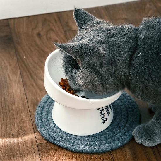Raised pet bowls - Always Whiskered