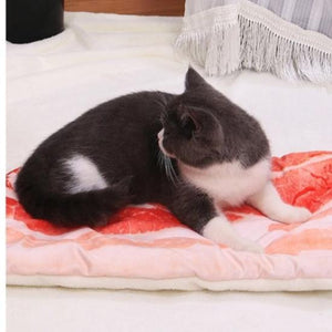 Pet bacon blanket bed - Always Whiskered 