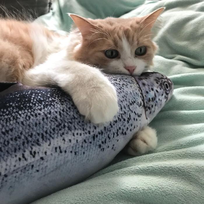 Cat Fish Toy - Always whiskered