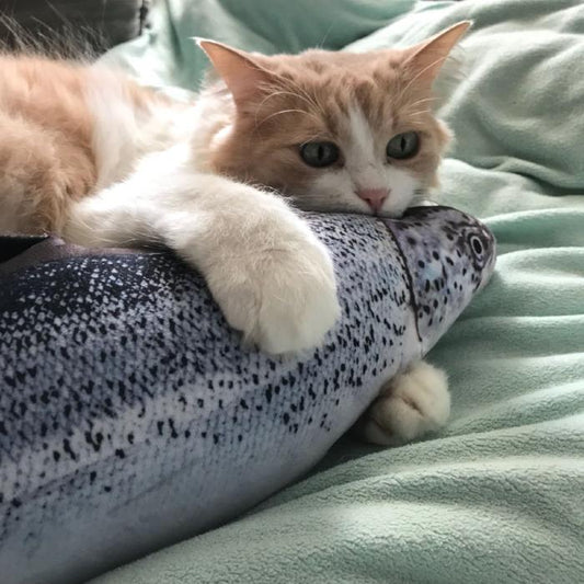 Cat Fish Toy - Always whiskered