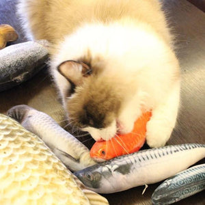 Nothing Fishy About This cat toy - Always Whiskered 
