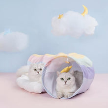 Rainbow cat tunnel bed - always whiskered
