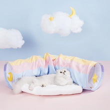 Rainbow cat tunnel bed - always whiskered