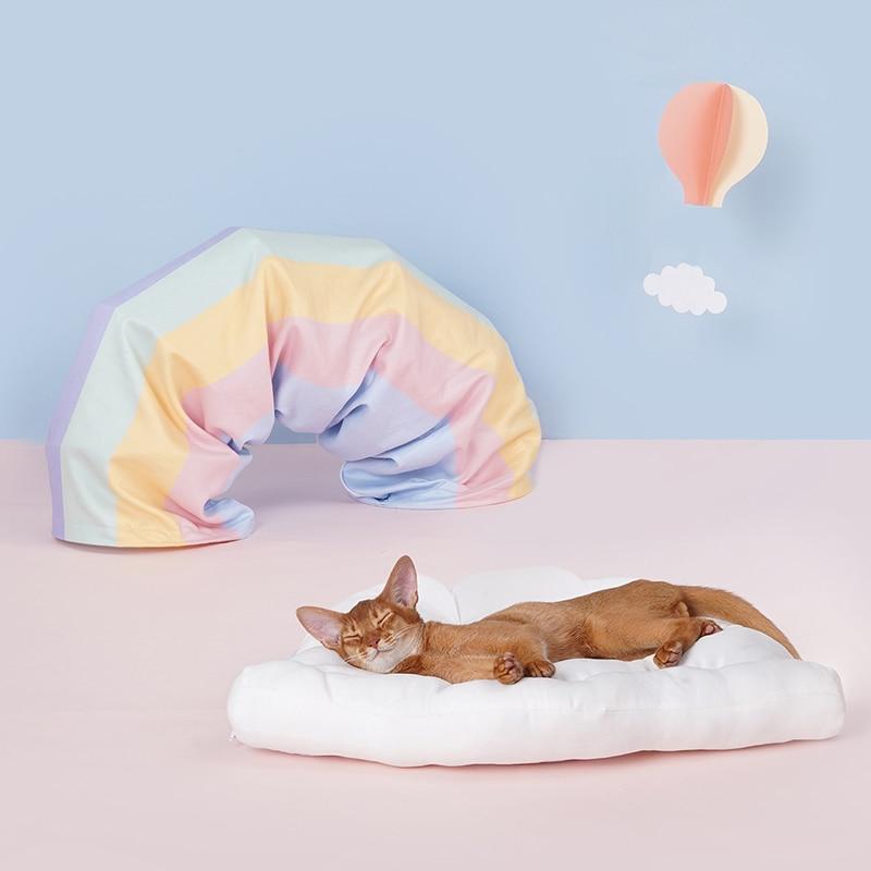 Rainbow cat tunnel bed - always whiskered