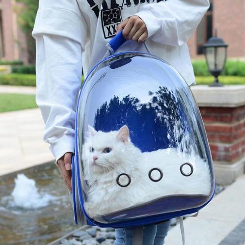 Transparent Pet Backpack Dog Backpack Cat Backpack Carrier, Ventilate Transparent Pet Transparent Pet Backpack Dog Backpack Cat Backpack Carrier, Ventilate Transparent Pet