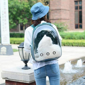 transparent cat backpack 